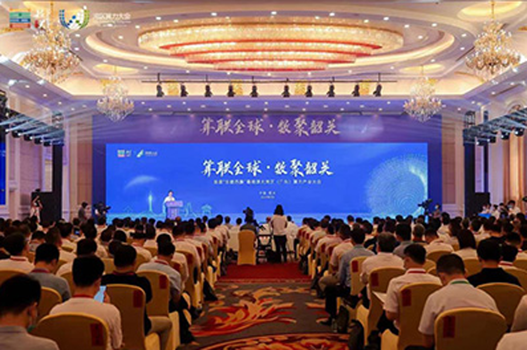 6 8v golf cart batteries