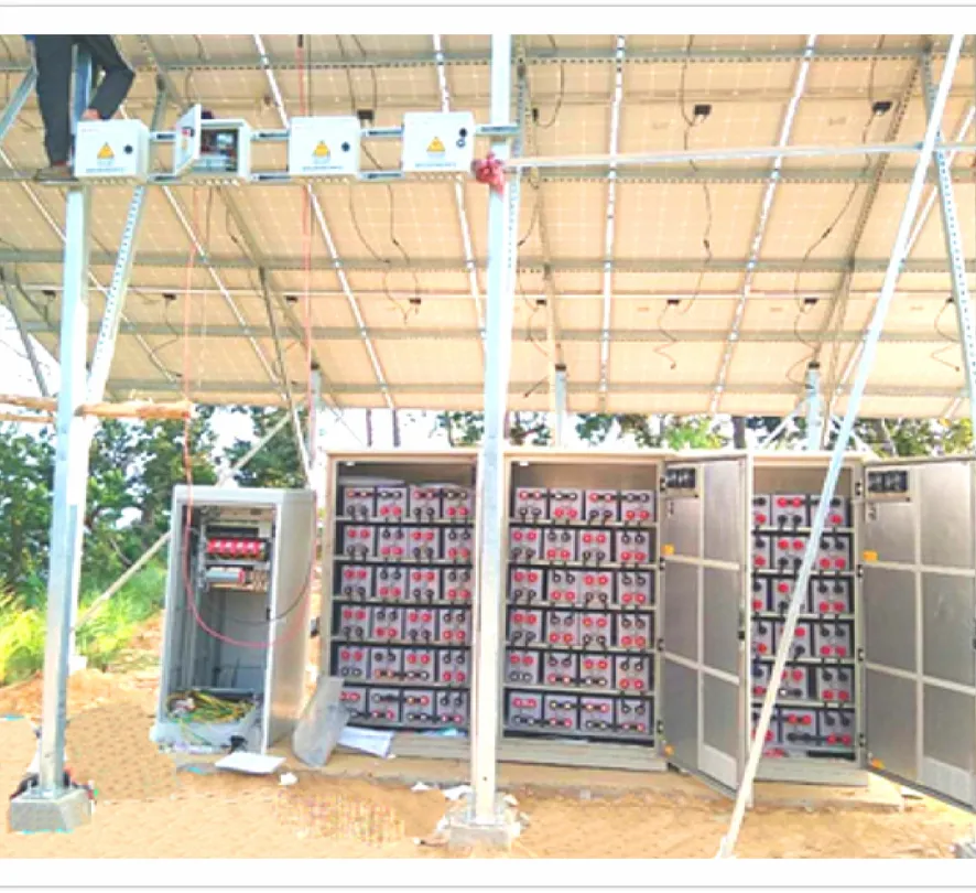 Tanzania, Rwanda (NDA)